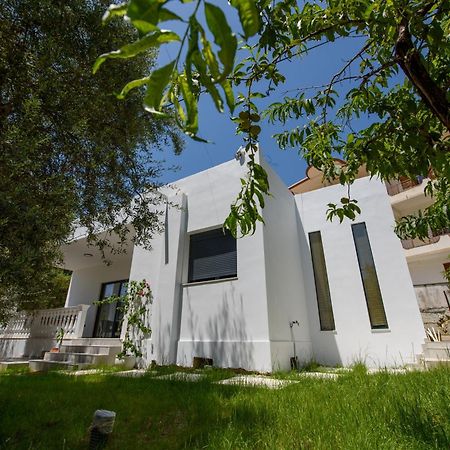 Vlorë Olivium Rooms מראה חיצוני תמונה