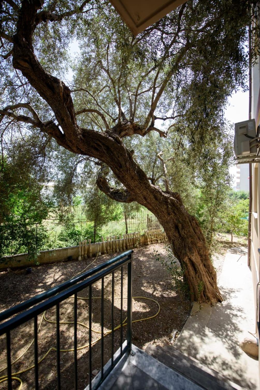 Vlorë Olivium Rooms מראה חיצוני תמונה