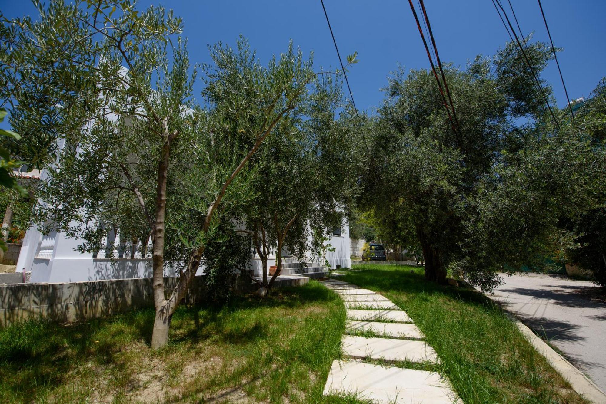 Vlorë Olivium Rooms מראה חיצוני תמונה